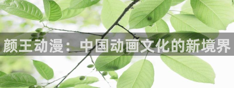 变形金刚78动漫